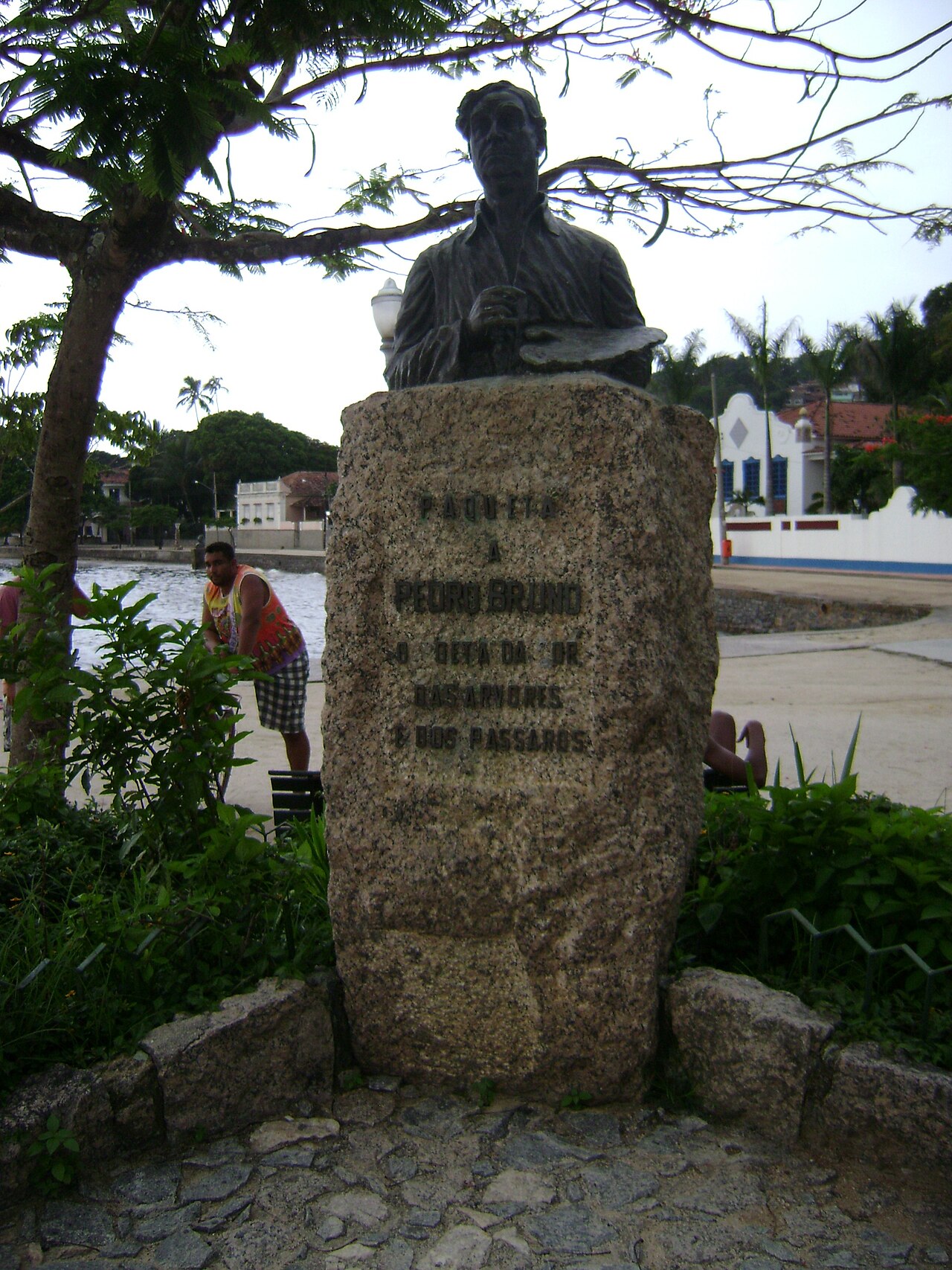 Portrait of Pedro Bruno