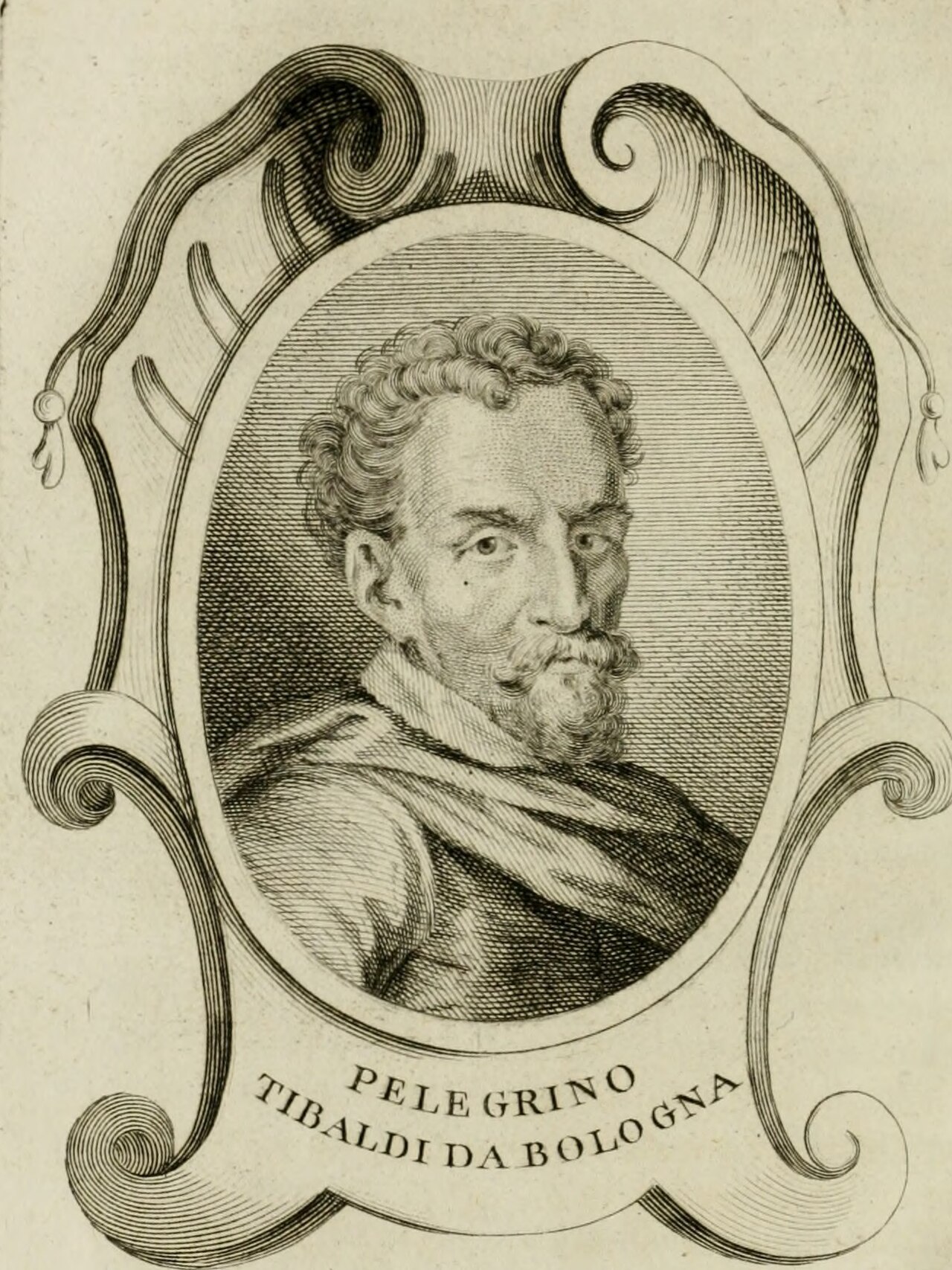 Portrait of Pellegrini Tiballdi