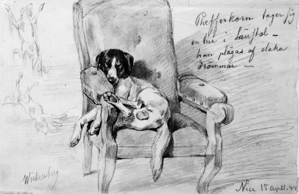 Hund liggande i länstol by Per Wickenberg