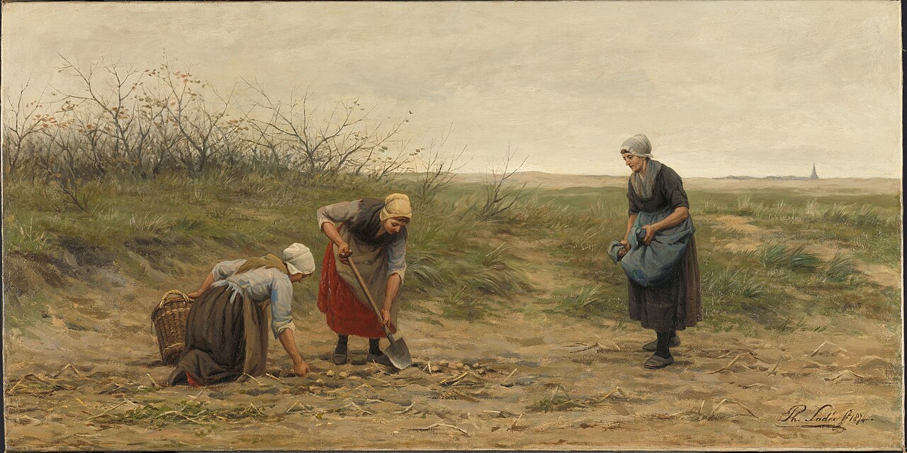 Scheveningse vrouwen bij het nalezen van een gerooid aardappelveld by Philip Sadée