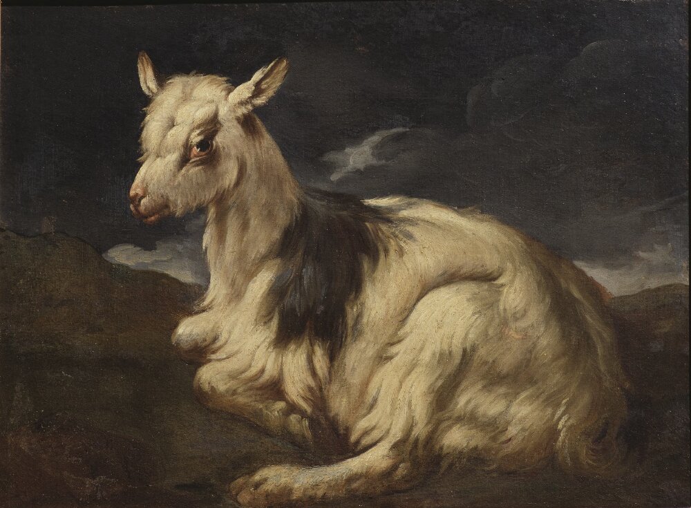 A Goat Resting by Philipp Peter Roos