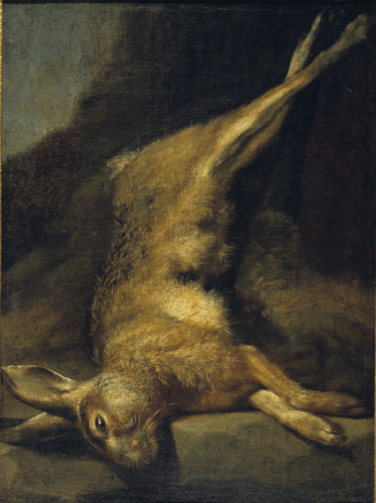 Dead Hare by Philipp Peter Roos