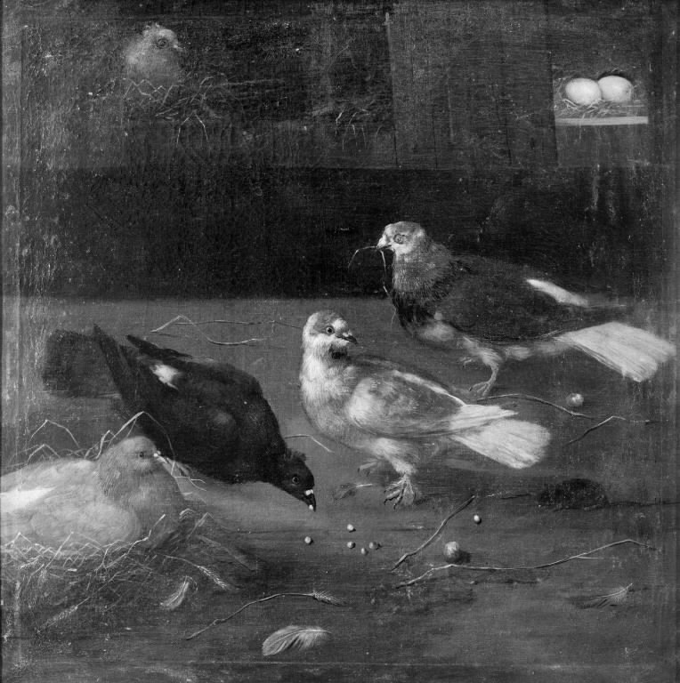 Pigeons by Philipp Peter Roos