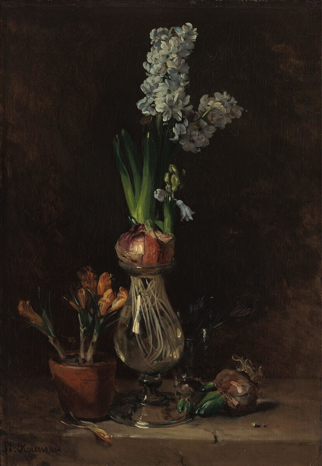 Still Life with Hyacinth by Philippe Rousseau