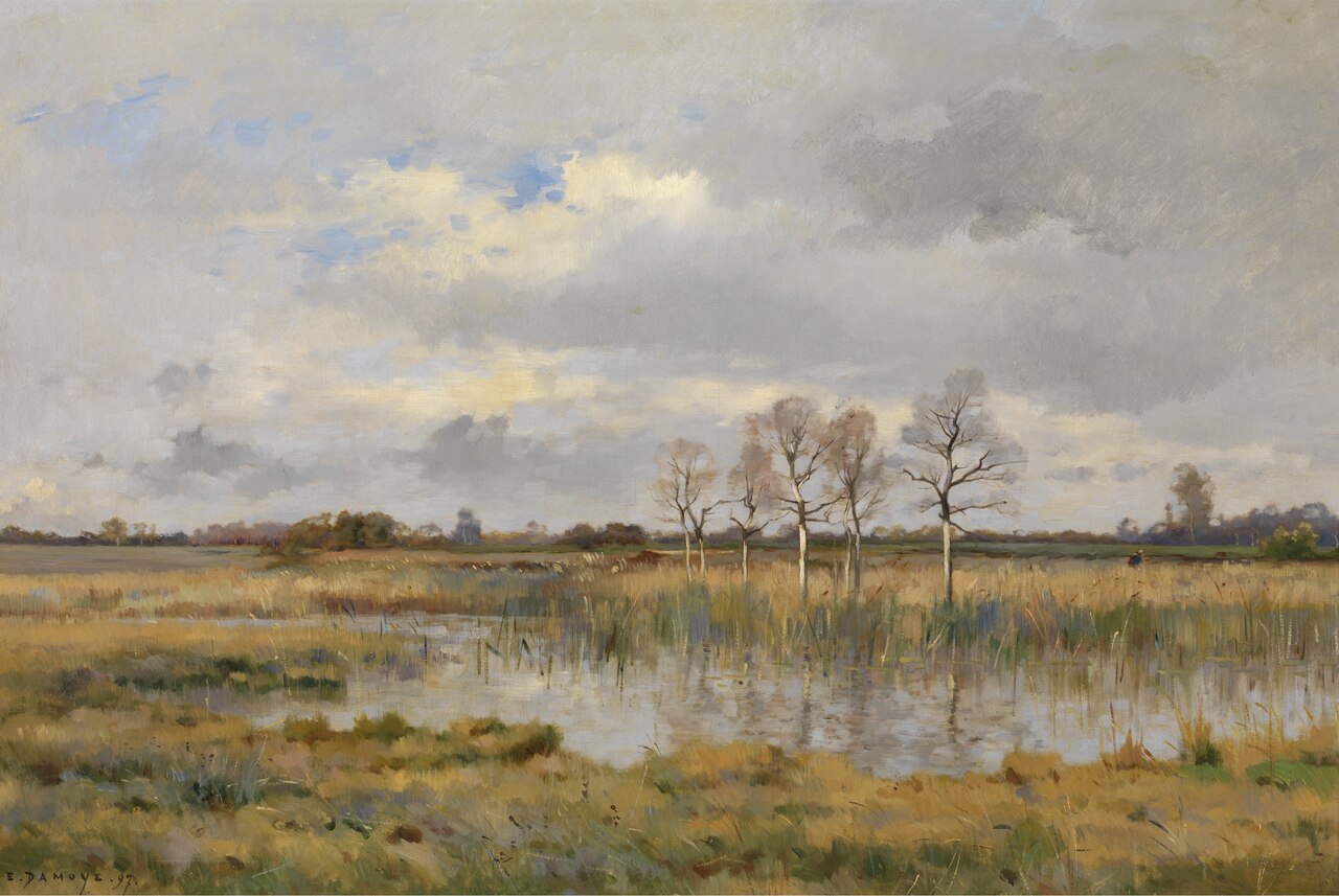 Marsh by Pierre Emmanuel Damoye