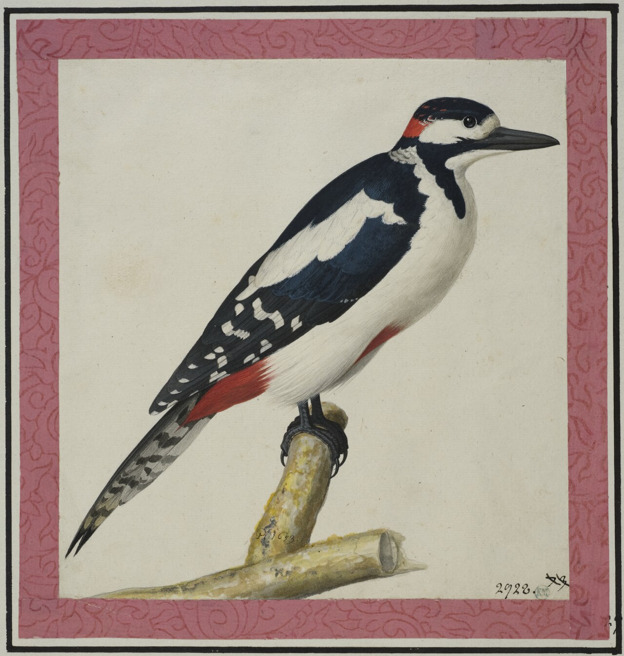 Woodpecker by Pieter Holsteyn II