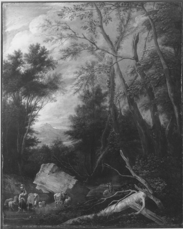Woodland scenery by Pieter Spierinckx