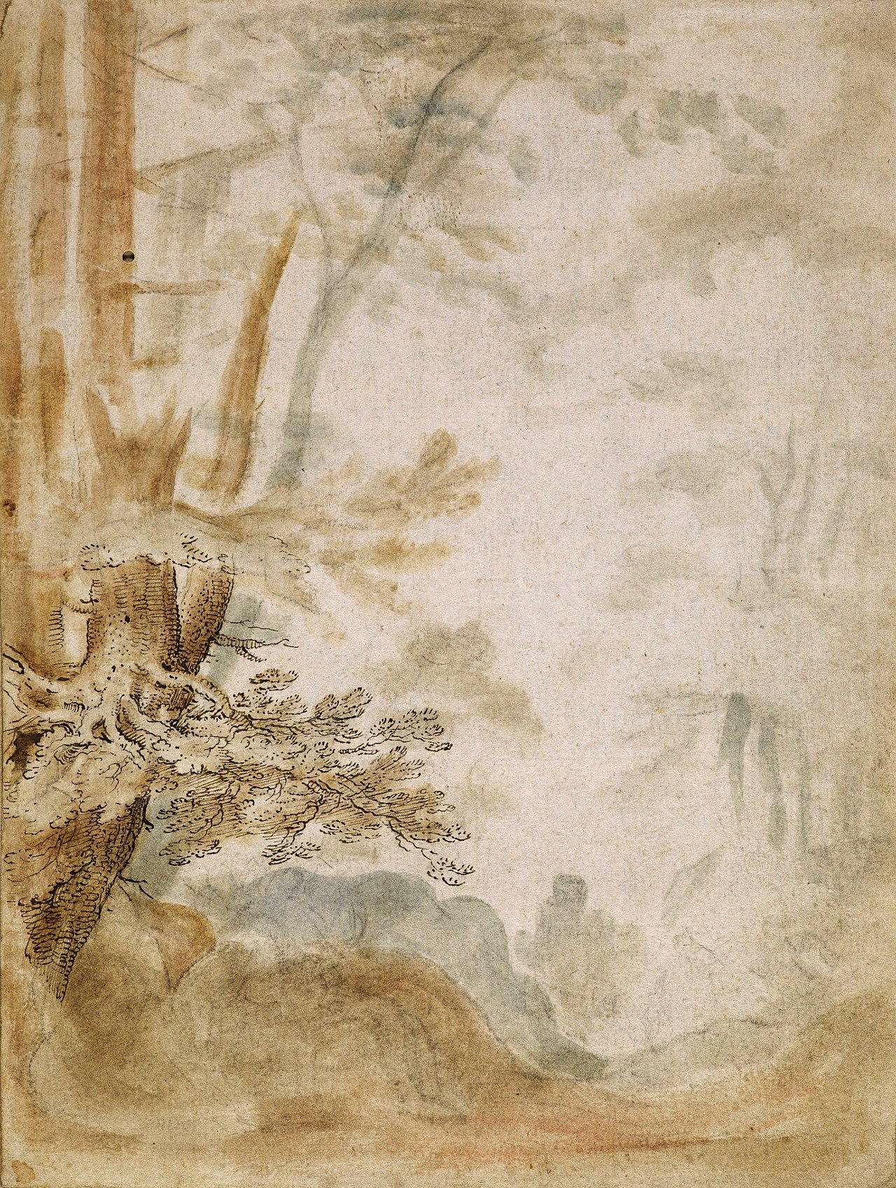 A path between trees. by Pieter Stevens