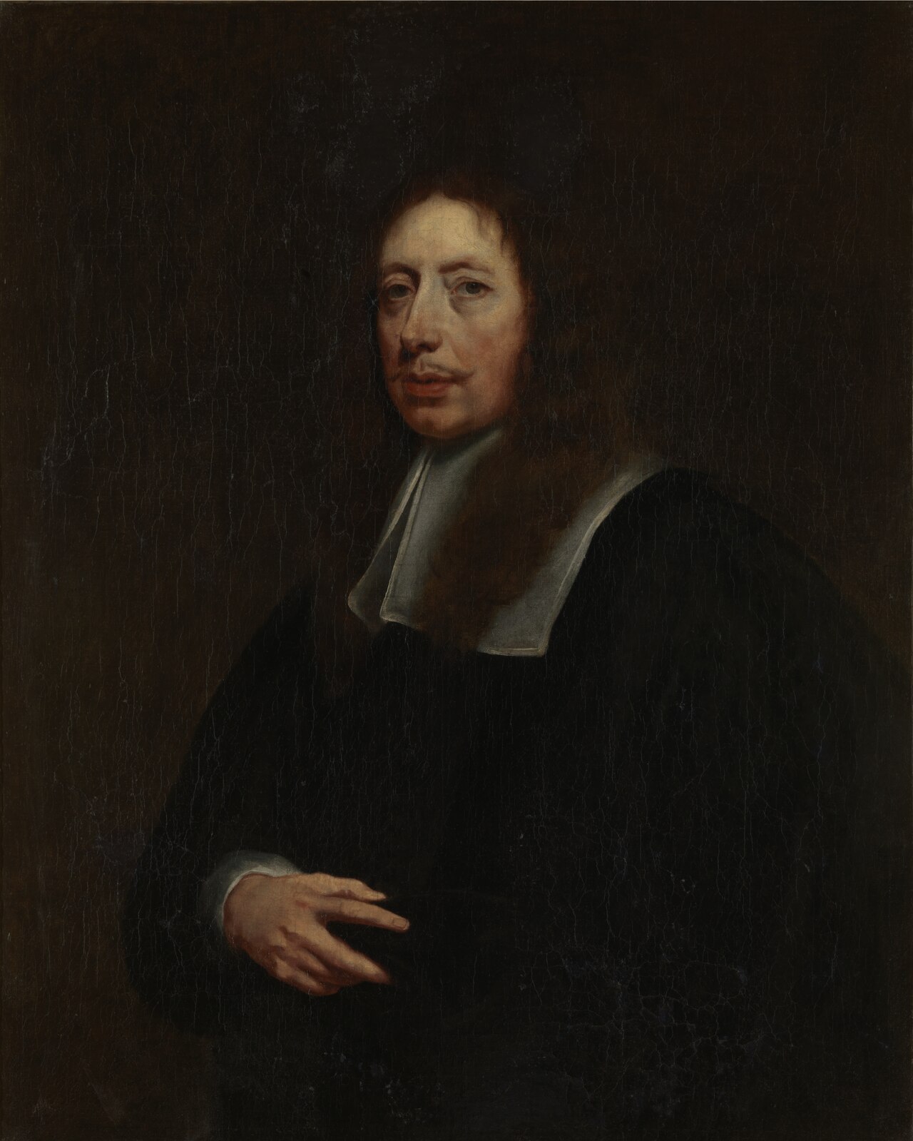 Maximus Gerardi by Pieter Thijs