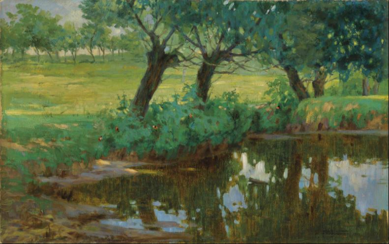 A Quiet Pond by Pietro Fragiacomo