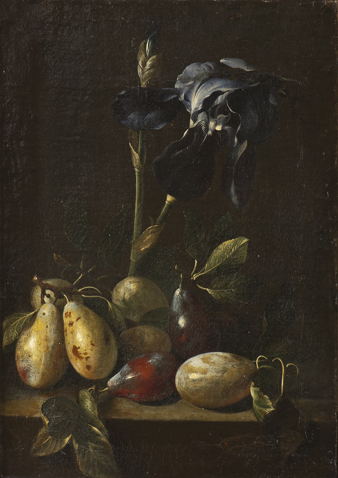 Still Life with an Iris and Plums by Pietro Paolo Bonzi