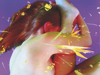 Homo Sapiens Sapiens (video) by Pipilotti Rist