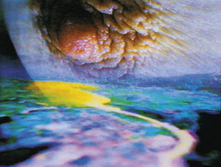 Pickelporno by Pipilotti Rist