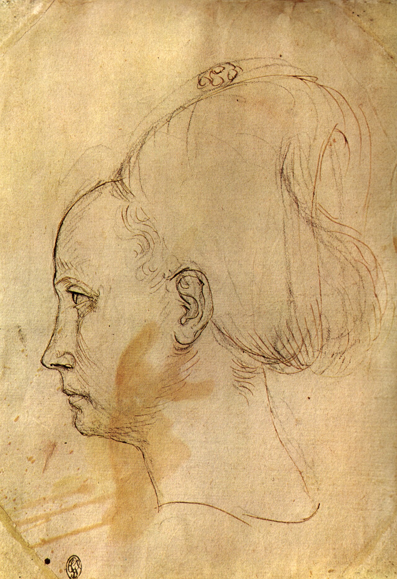 Codex Vallardi by Pisanello