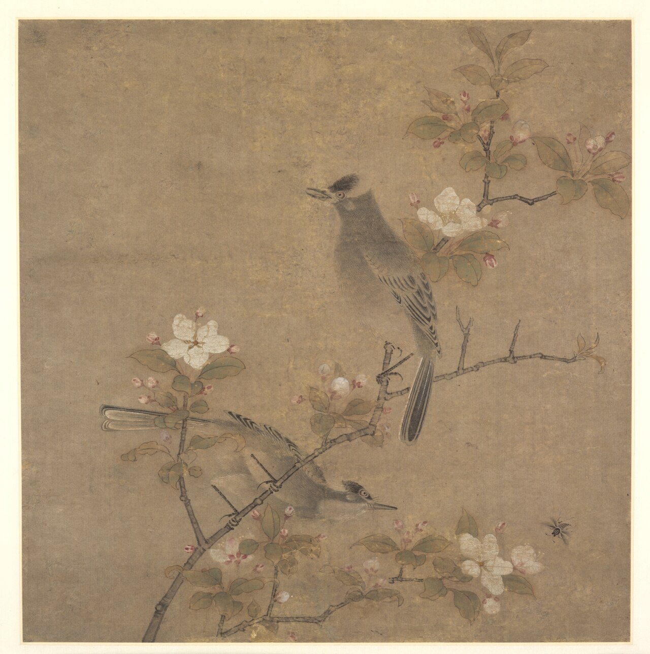 Flowers and Birds by Qian Xuan