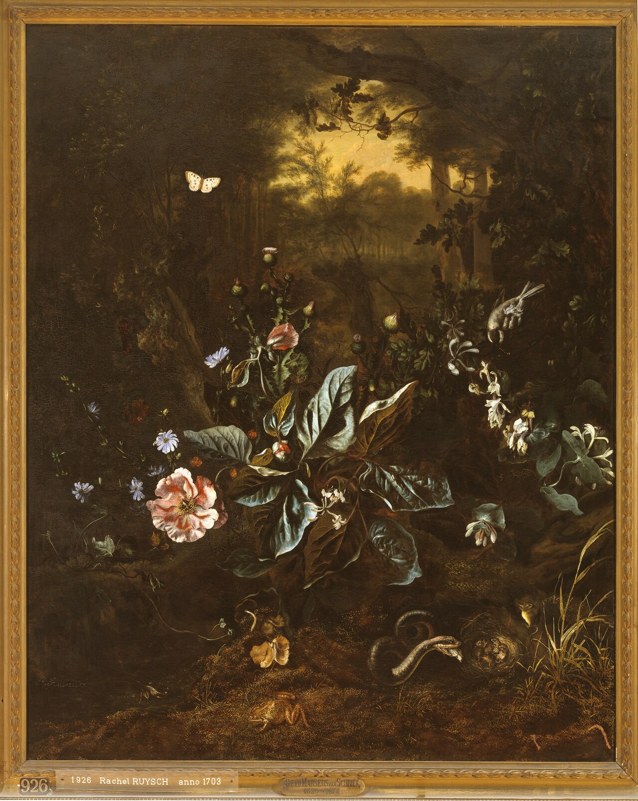 Still life of flowers and small animals at the edge of a forest by Rachel Ruysch