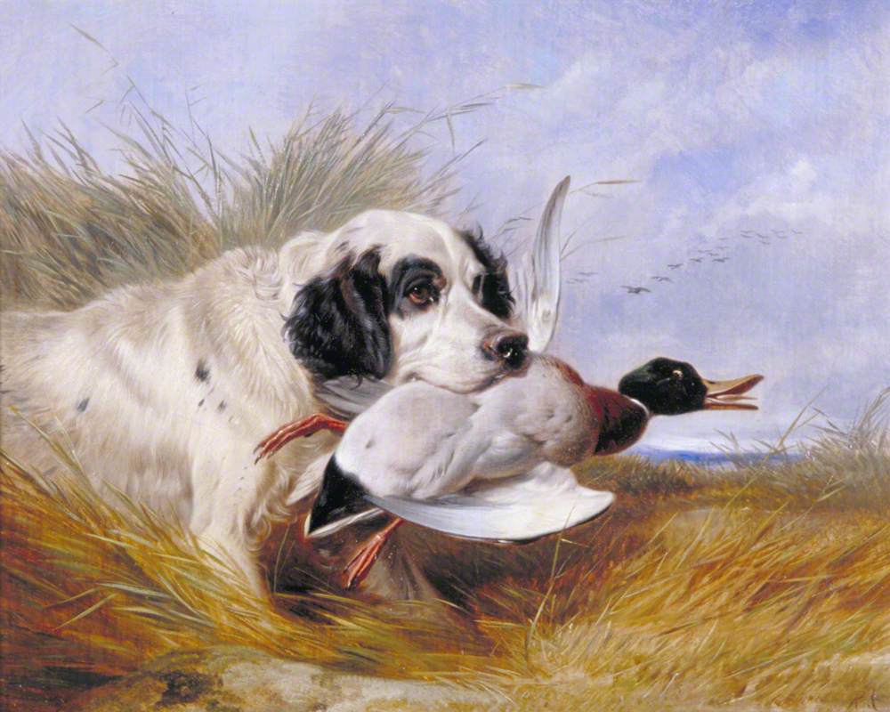 Dog with a Wild Duck by Richard Ansdell