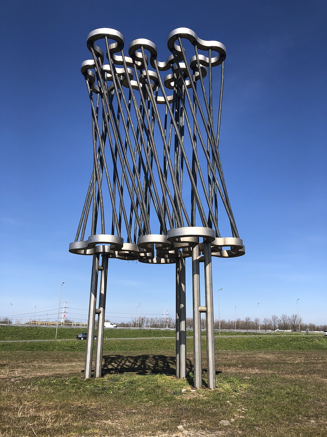 Can't see the Wood for the Trees by Richard Deacon