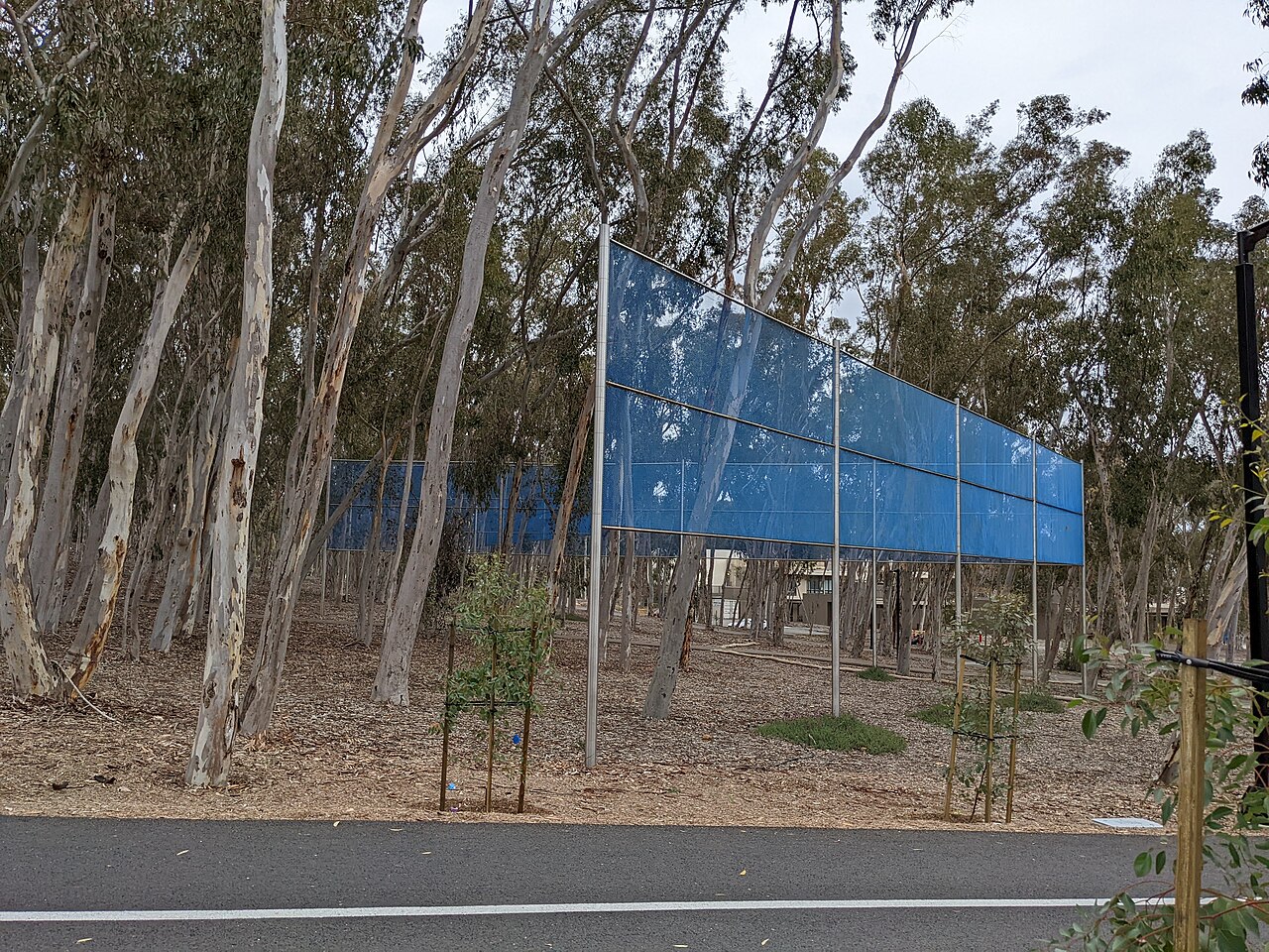 Two Running Violet V Forms by Robert Irwin