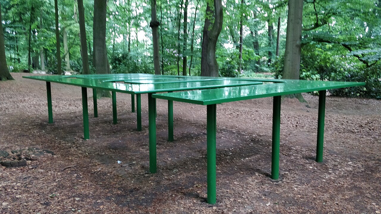 Projet pour un jardin by Roman Signer