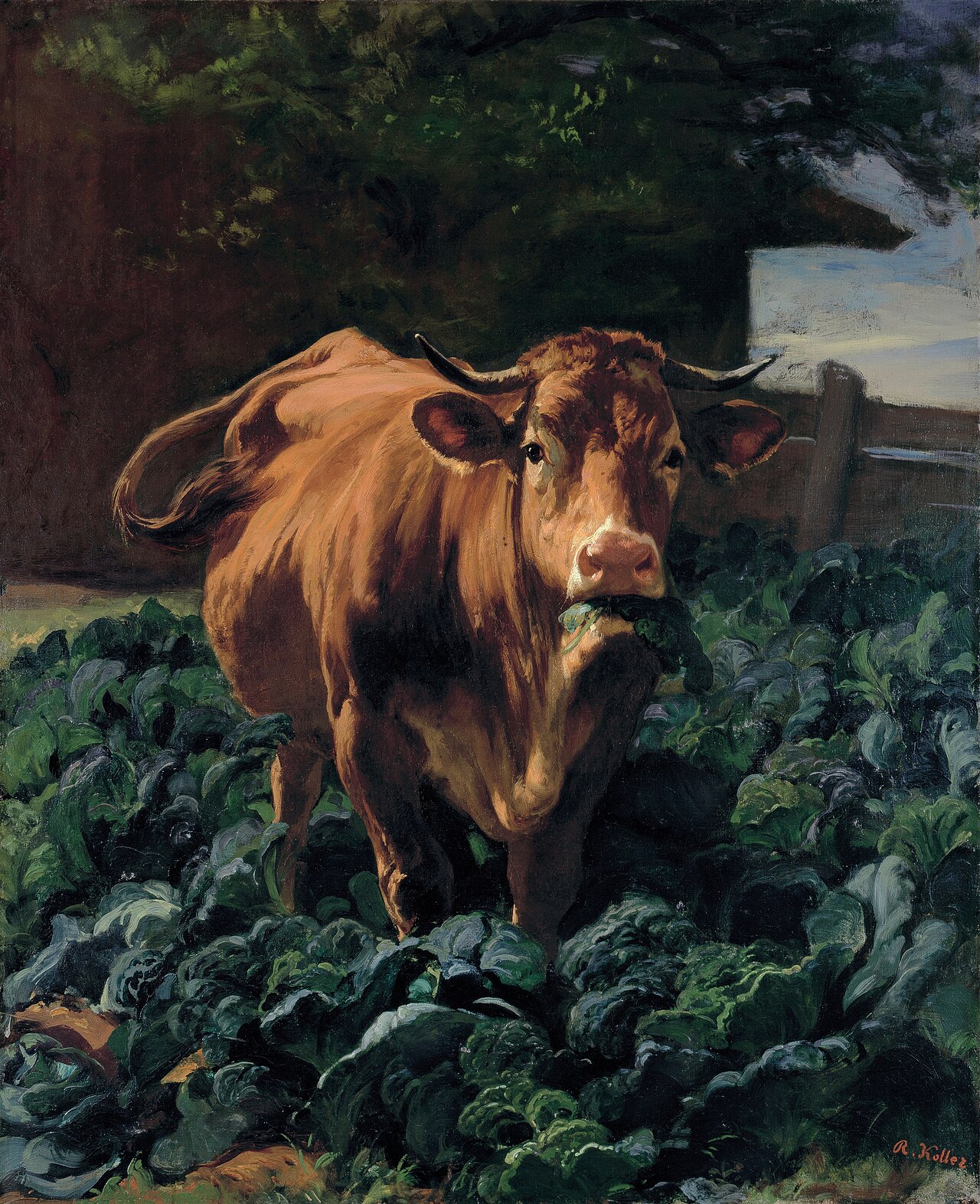 Cow in a Cabbage Field by Rudolf Koller