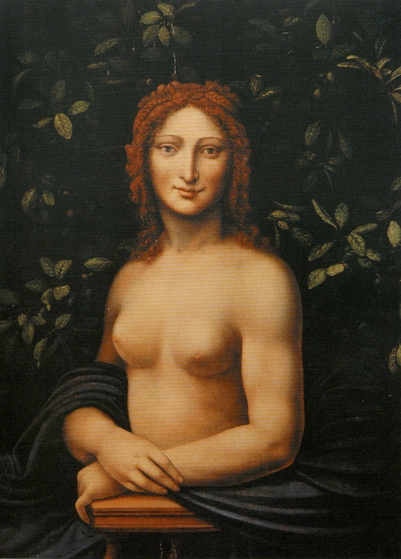 Female Figure by Salaì