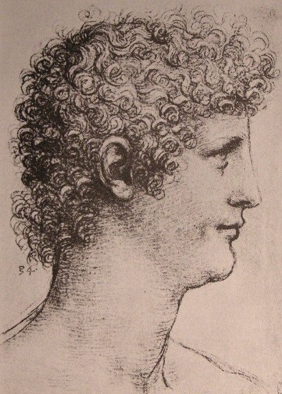 Portrait of Salaì