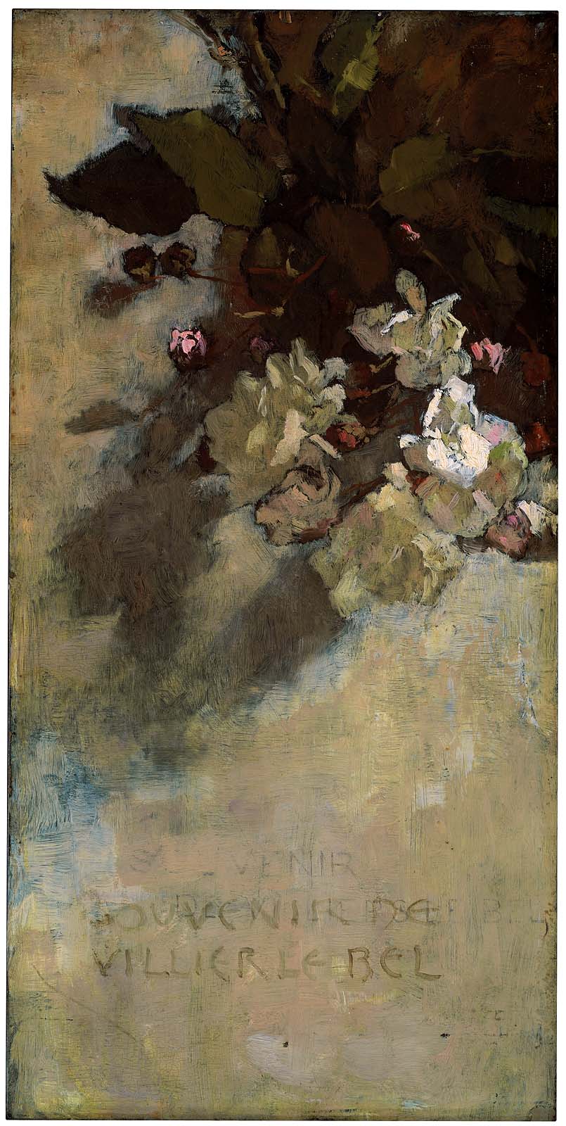 Roses—Souvenir de Villier le bel by Sarah W. Whitman