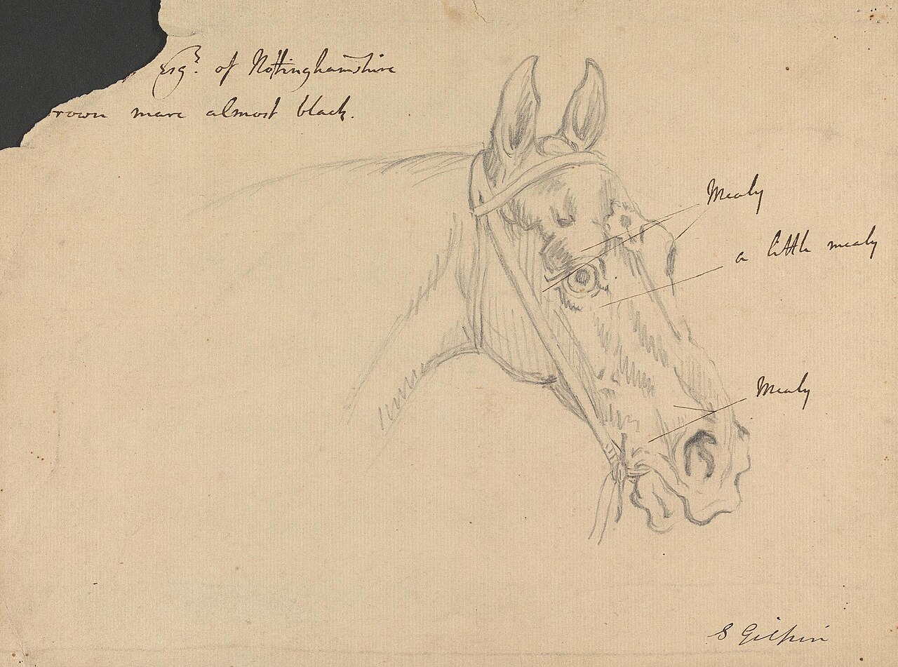 "...esq. of Nottinghamshire (B)rown Mare Almost Black" by Sawrey Gilpin