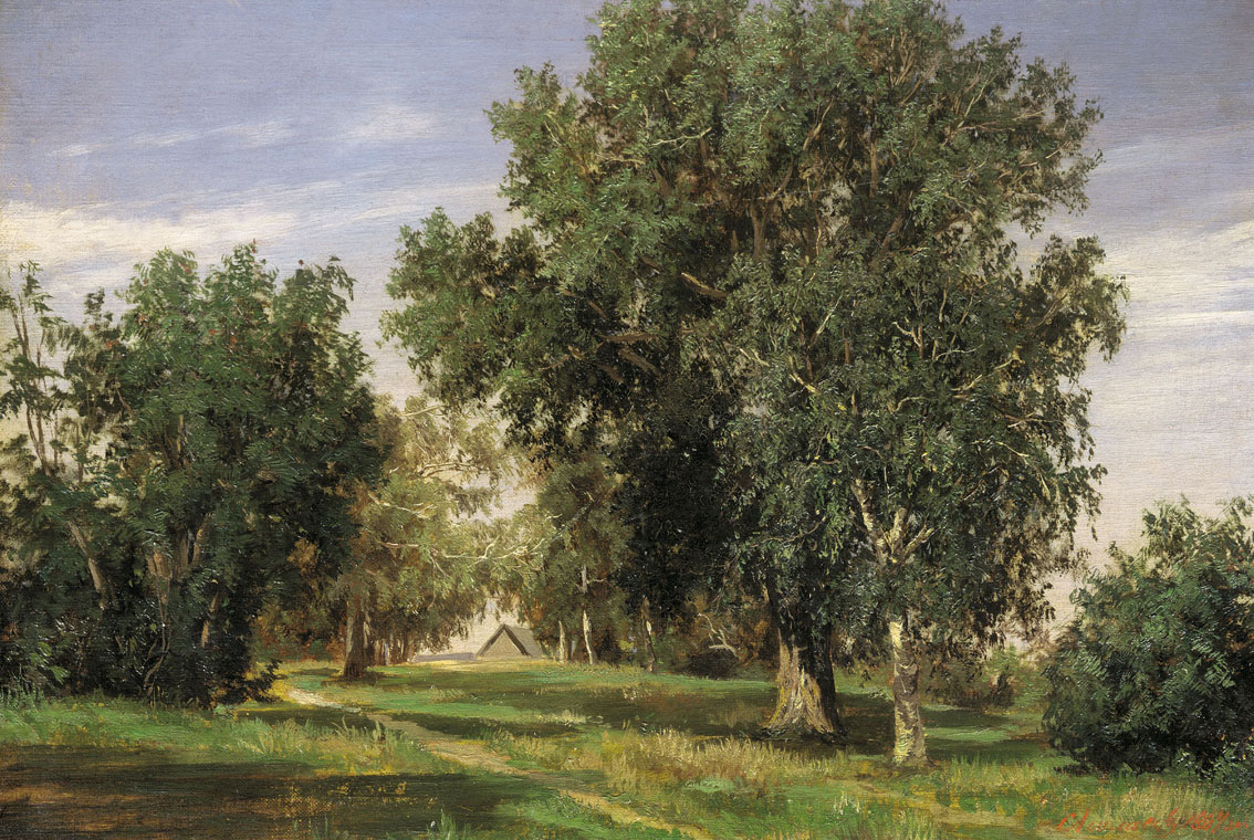 Forest Glade by Sergey Ammosov