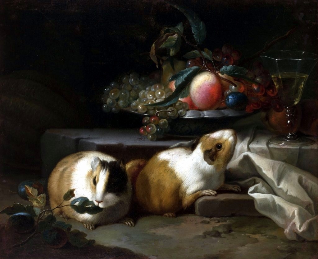 Still life with guinea pigs. by Teodor Lubieniecki