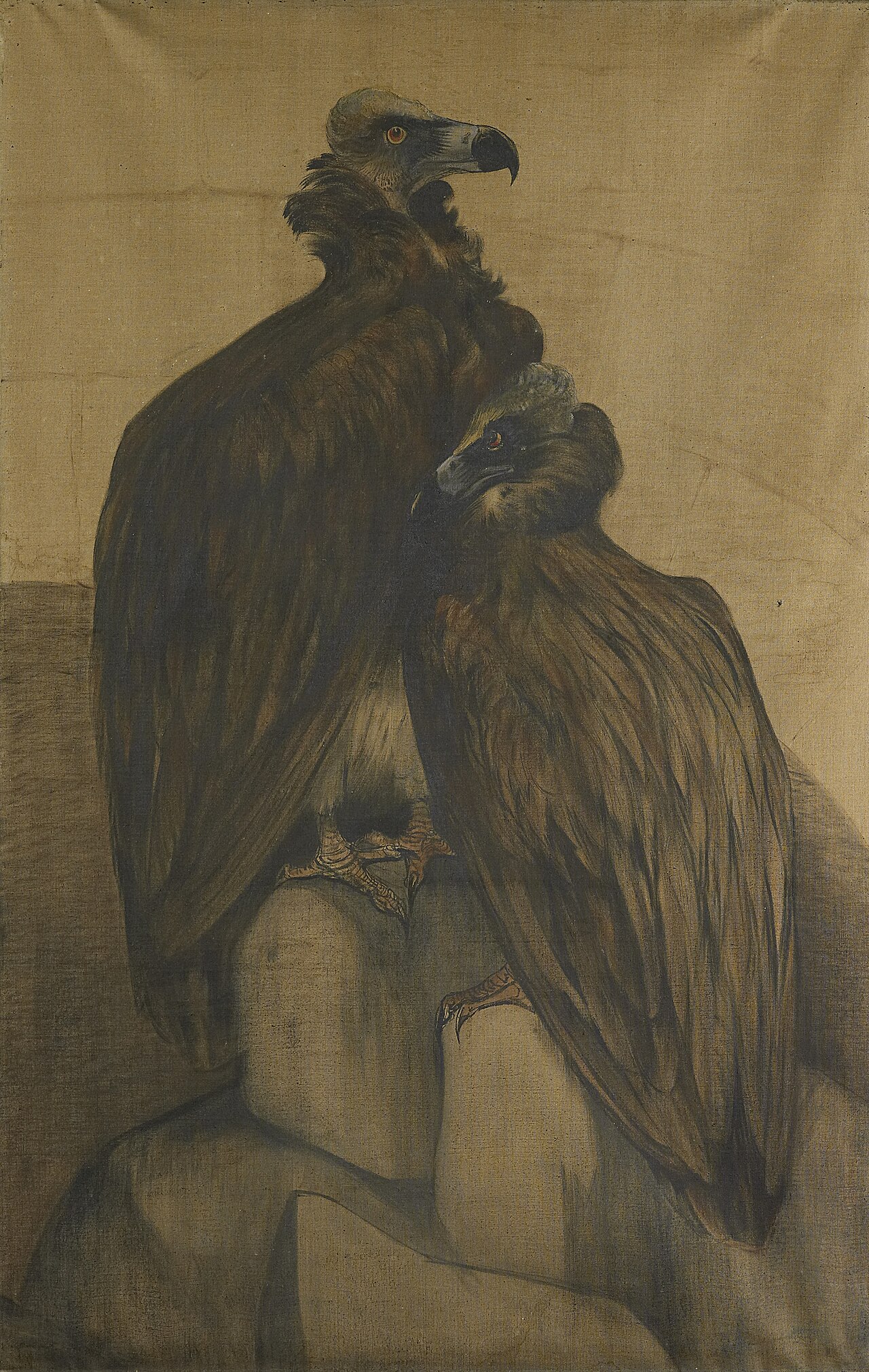 Two Arabian Vultures by Theo van Hoytema