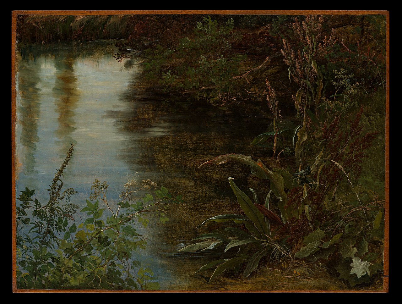 Study of Water and Plants by Thomas Fearnley