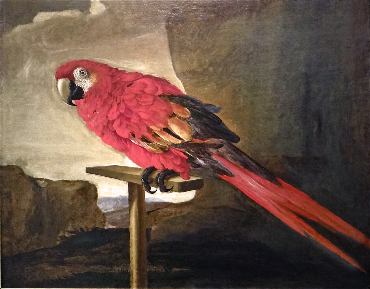 Red Ara by Tommaso Salini