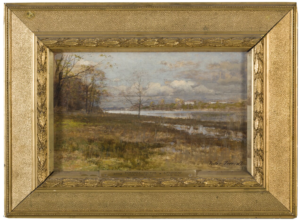 Landscape by Victor Forssell