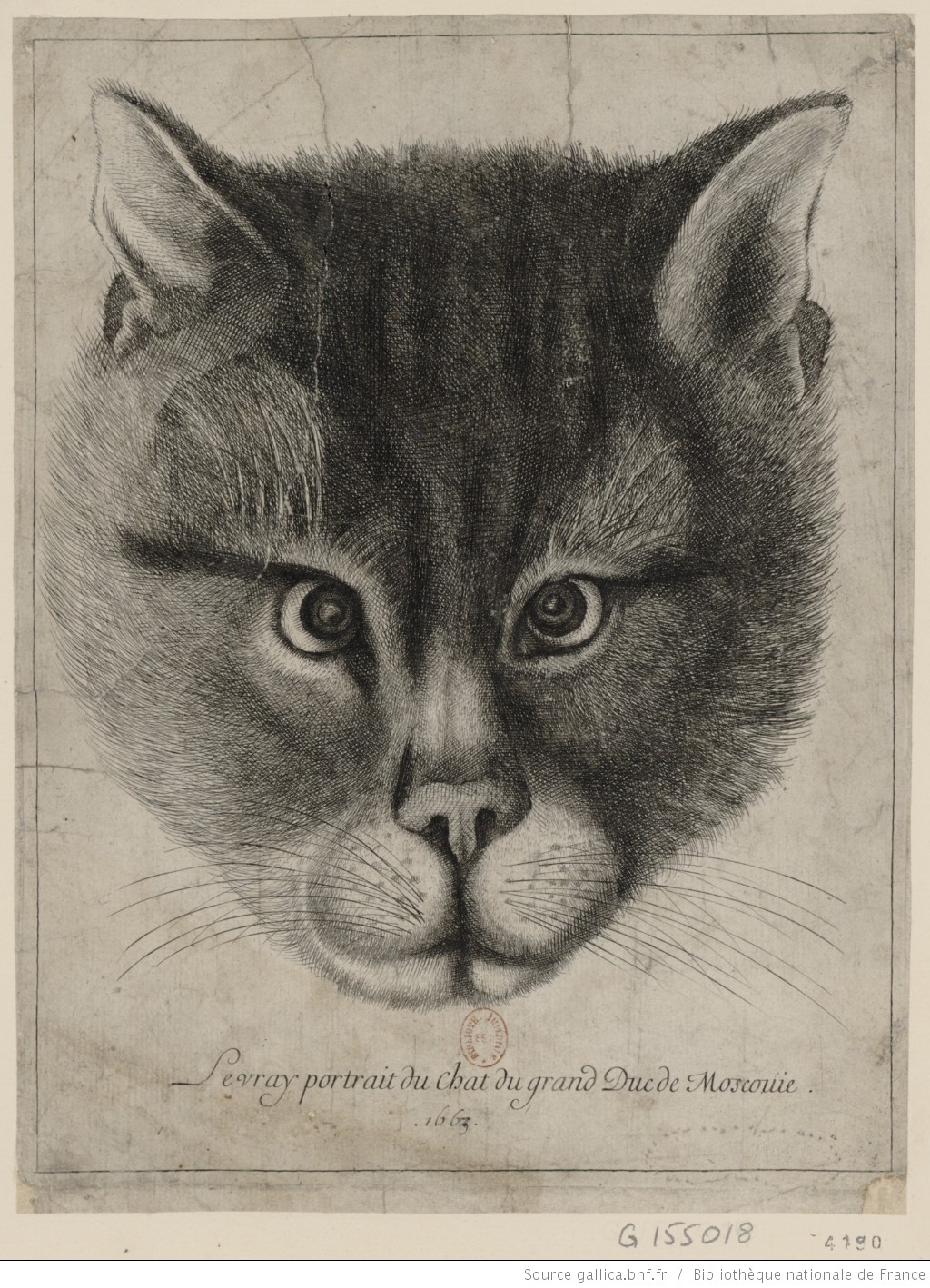 Chat du grand duc de Moscovie by Wenceslaus Hollar