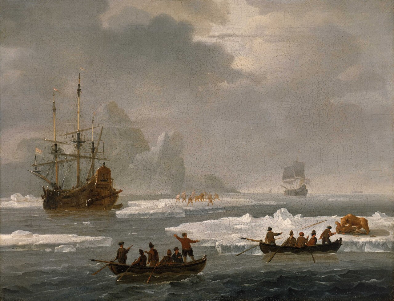 A Bear Hunt in the Arctic by Wigerus Vitringa