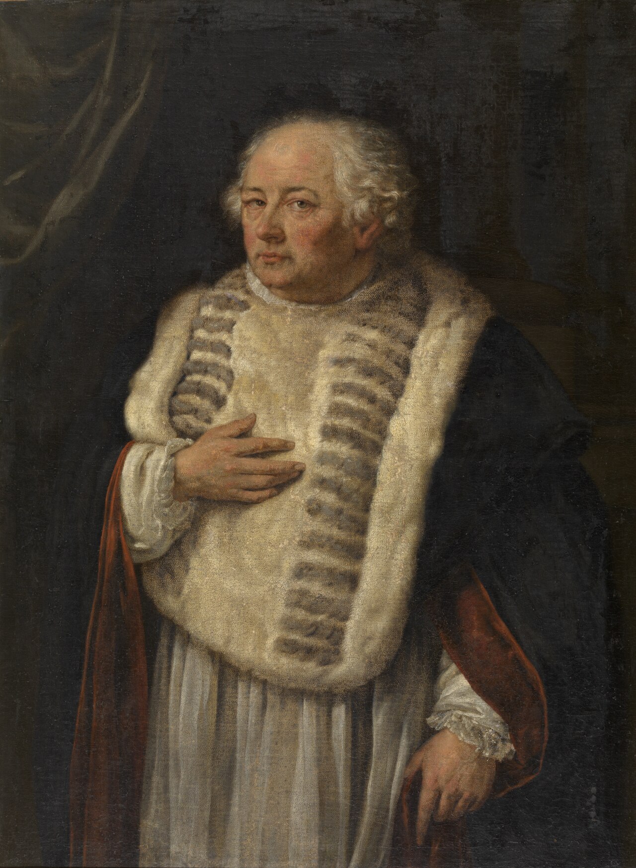 Portrait of the Antwerp canon Antoon de Vries by Willem Jacob Herreyns