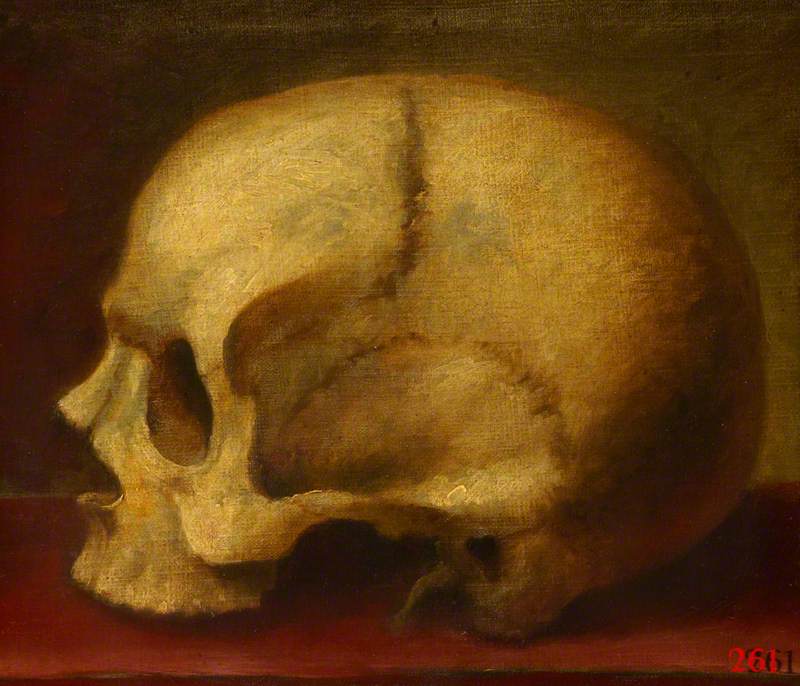 Skull, Left Profile by William Cheselden