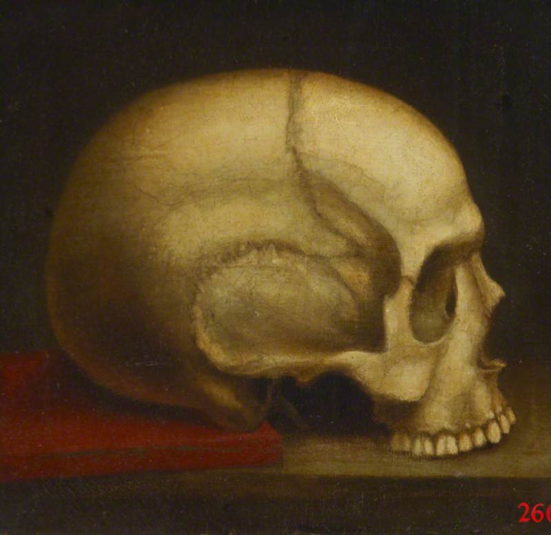 Skull, Right Profile by William Cheselden