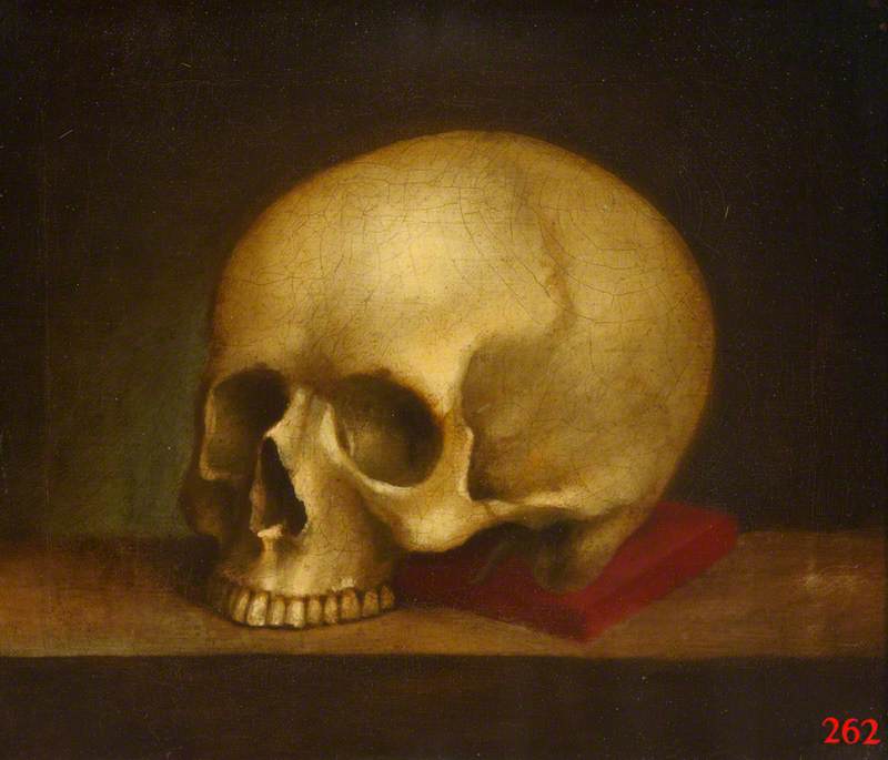 Skull by William Cheselden