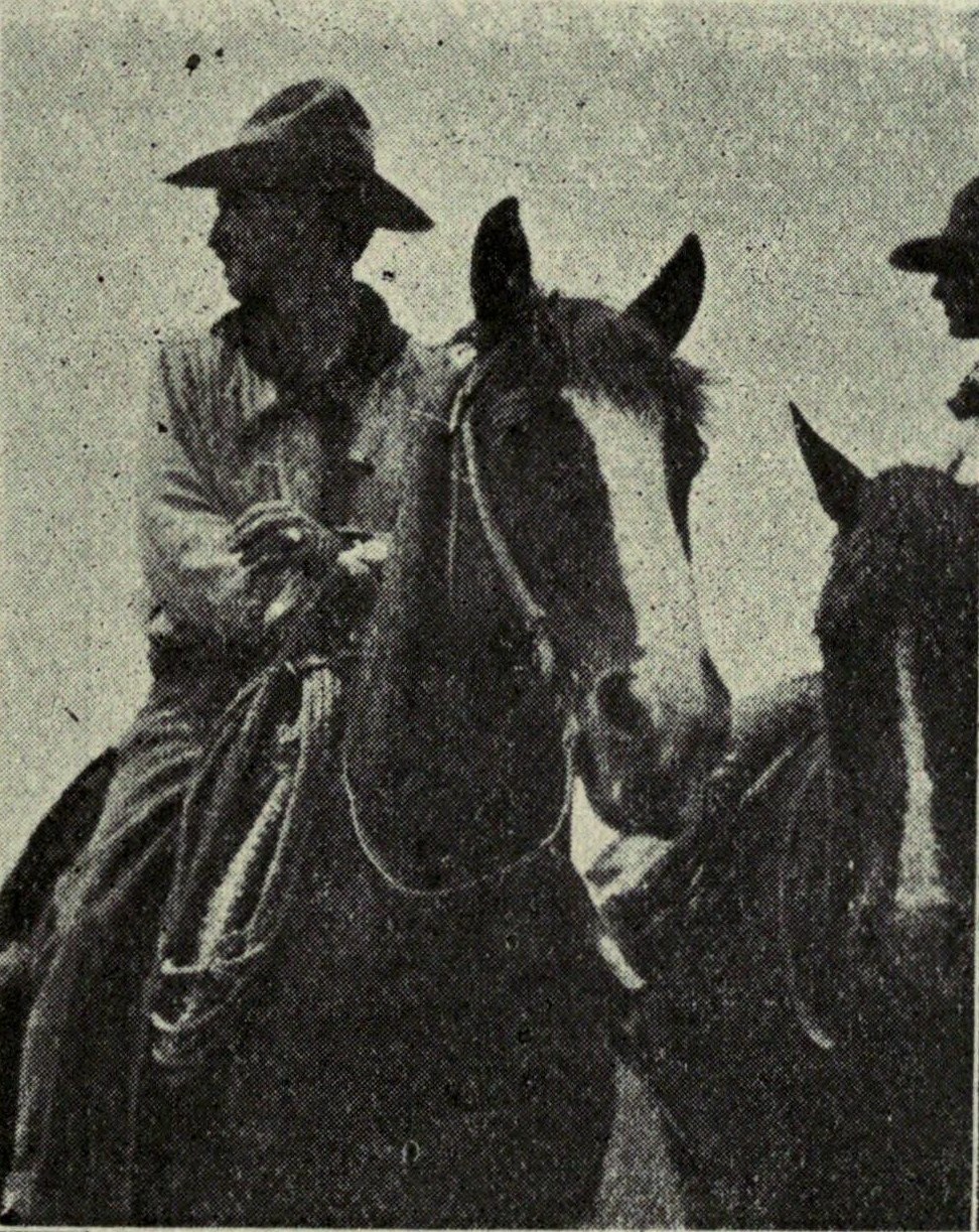 Portrait of William Penhallow Henderson