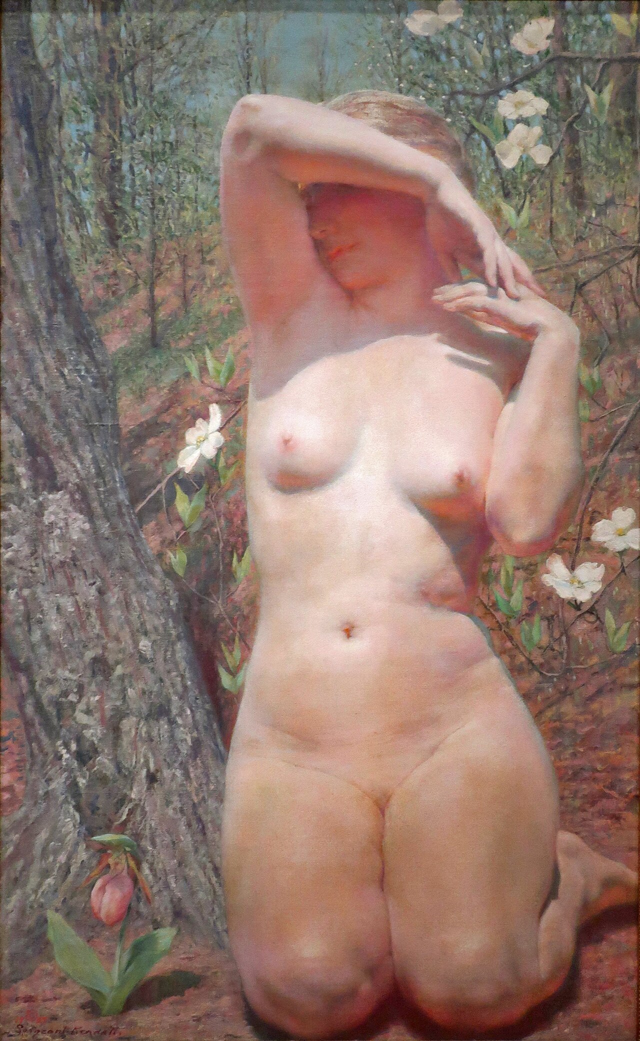 Cypripedia by William Sergeant Kendall