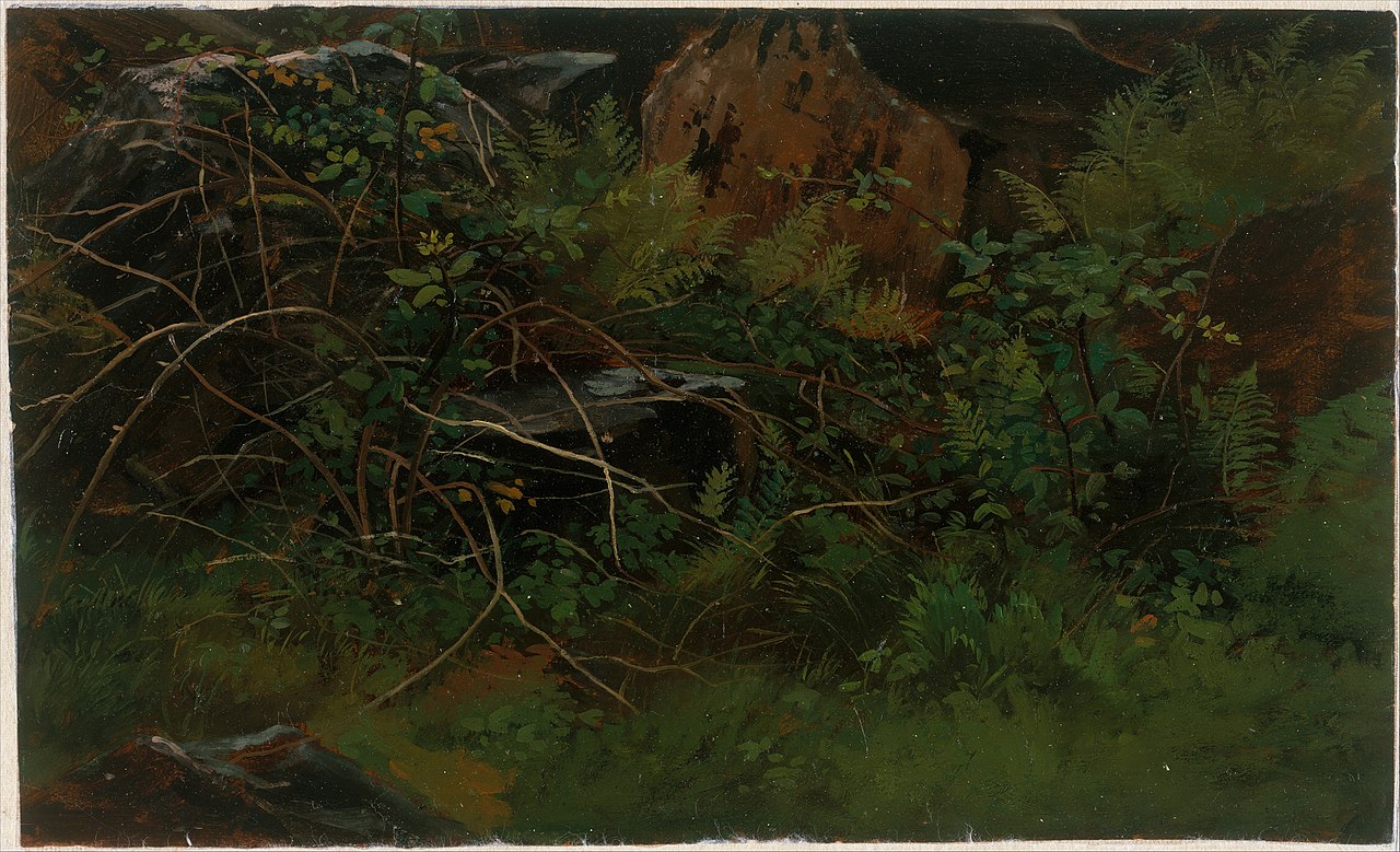 Study from Nature by William Stanley Haseltine