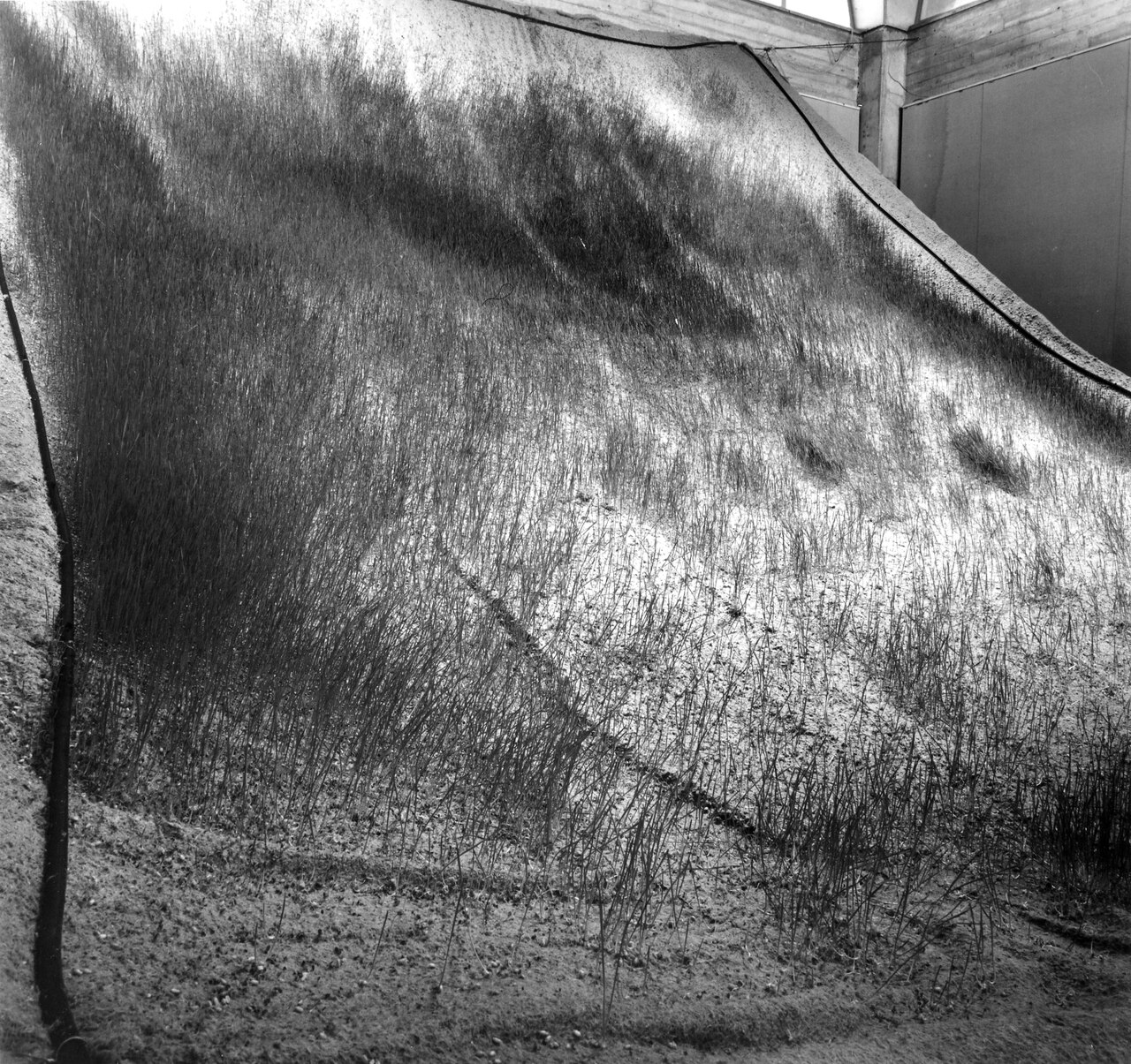 Sowing of a Surface with Plastic Emulsion by Yitzhak Danziger