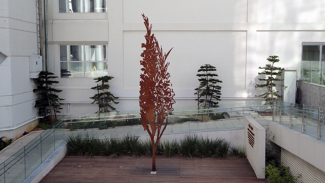 Shadow of the Spring by Zadok Ben David