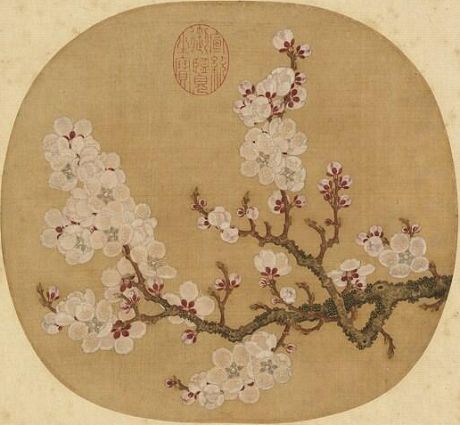 Apricot Blossoms Sketched from Life by Zhao Chang