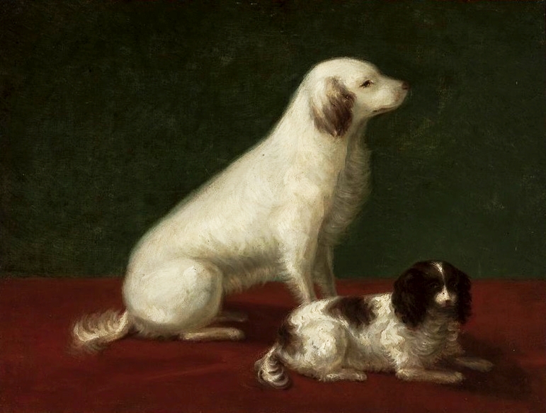 Two dogs: Miskon and Medorek by Zofia Szymanowska-Lenartowicz